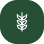 GLUTEN
